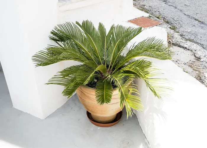 Διαμέρισμα Or Noir